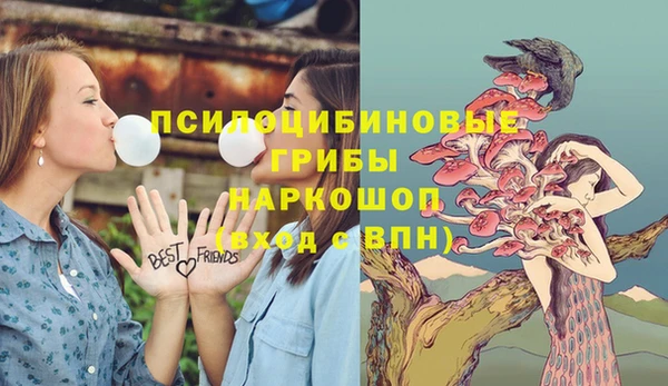 а пвп мука Зеленокумск