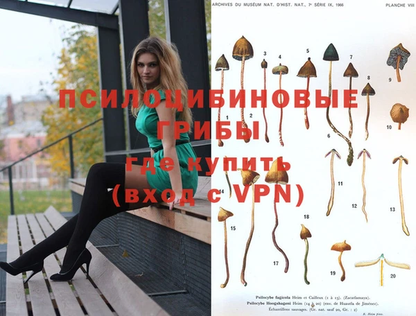 а пвп мука Зеленокумск